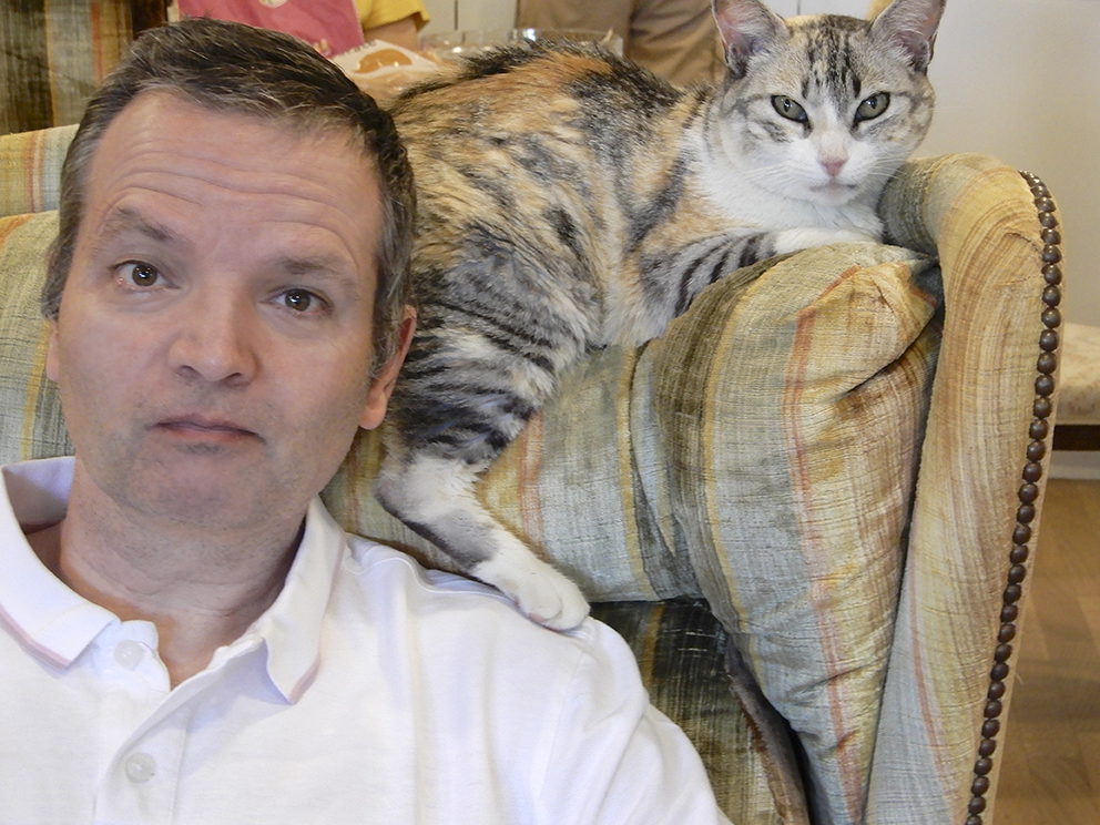 Ces animaux qui apaisent